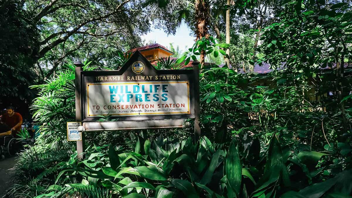 Animal Kingdom's Wildlife Express Train – Resorts Gal Animal Kingdom's Wildlife Express Train – Resorts Gal