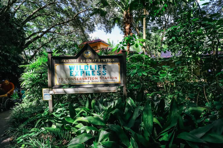 Animal Kingdom’s Wildlife Express Train (A Resorts Gal Guide)