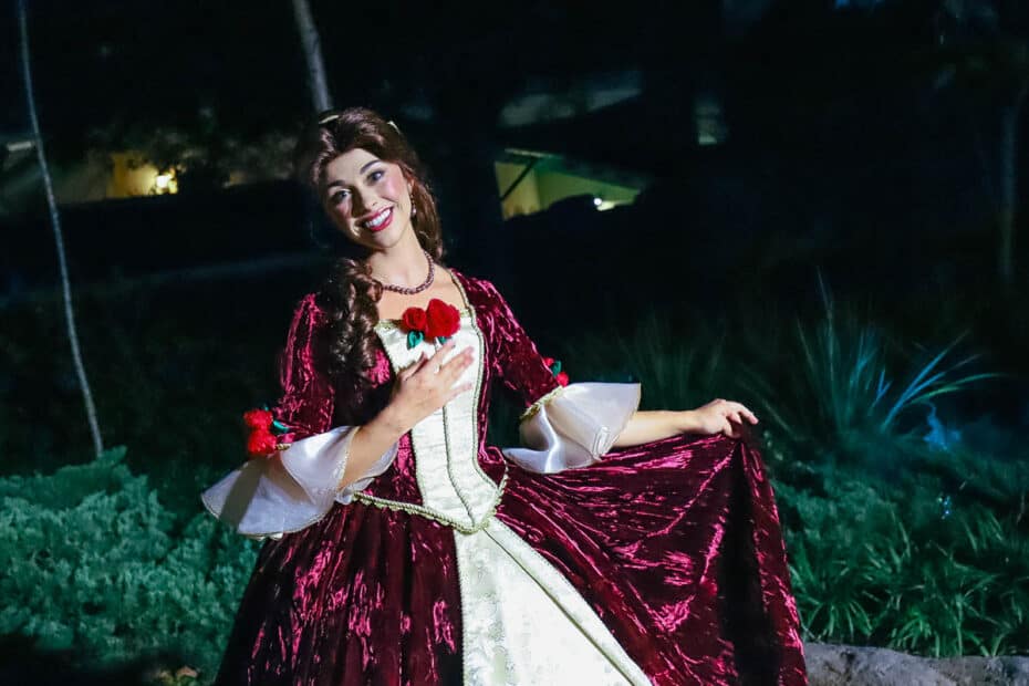 belle christmas dress