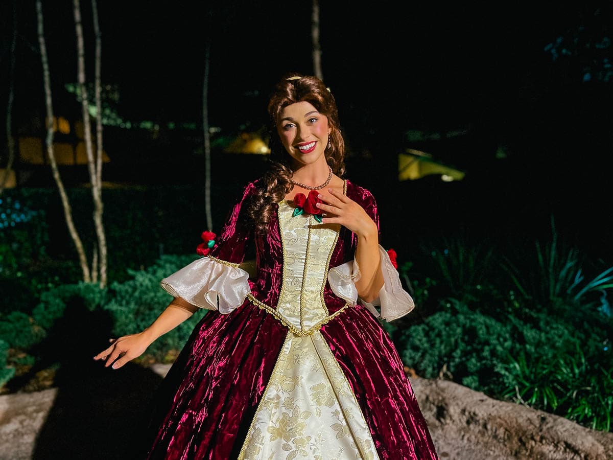 belle christmas dress