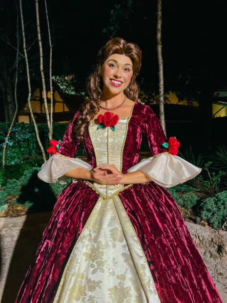 belle christmas dress