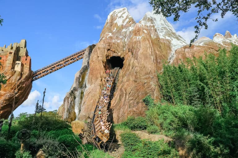 Expedition Everest Roller Coaster at Disney's Animal Kingdom
