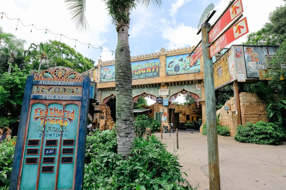 Feathered Friends in Flight! (Bird Show at Disney's Animal Kingdom) – Resorts Gal Feathered Friends in Flight! (Bird Show at Disney's Animal Kingdom) – Resorts Gal