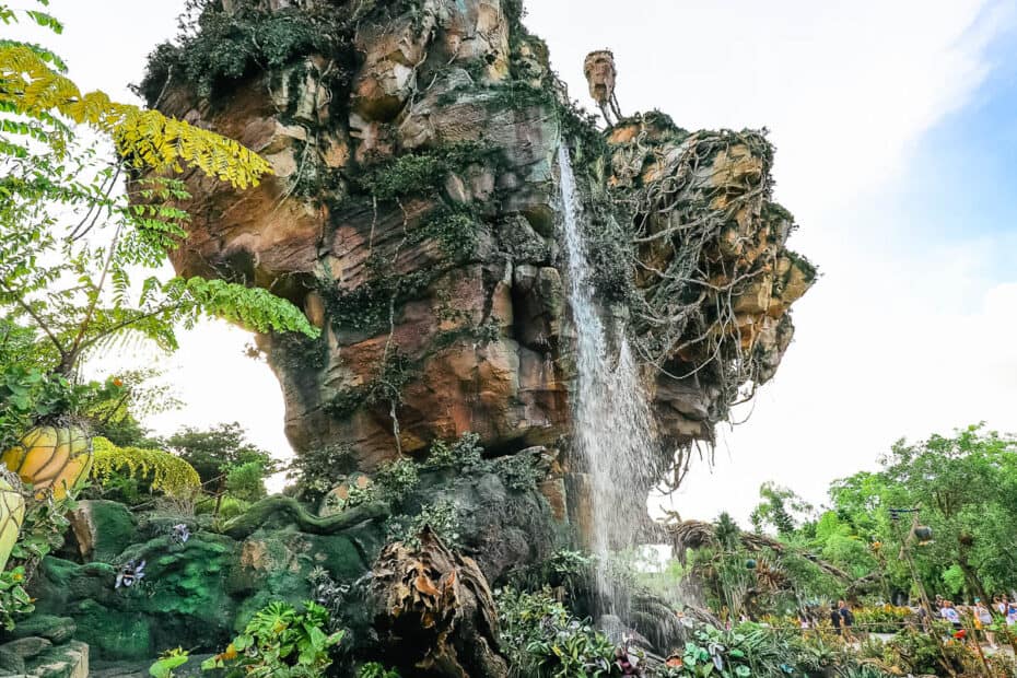 Pandora - The World of Avatar in Disney World's Animal Kingdom