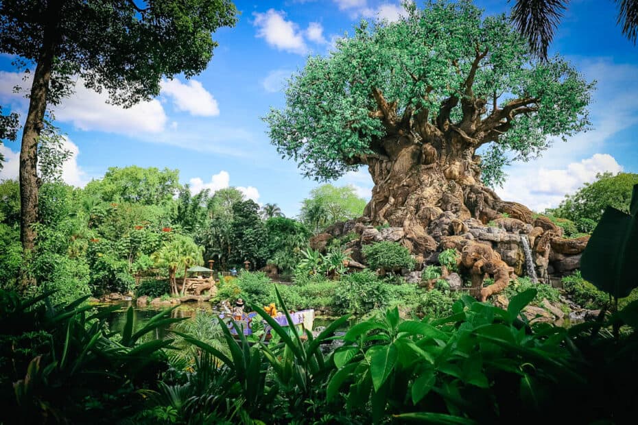 Tree of Life at Disney World's Animal Kingdom – Resorts Gal Tree of Life at Disney World's Animal Kingdom – Resorts Gal