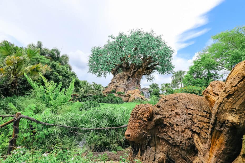 Tree of Life at Disney World's Animal Kingdom – Resorts Gal Tree of Life at Disney World's Animal Kingdom – Resorts Gal