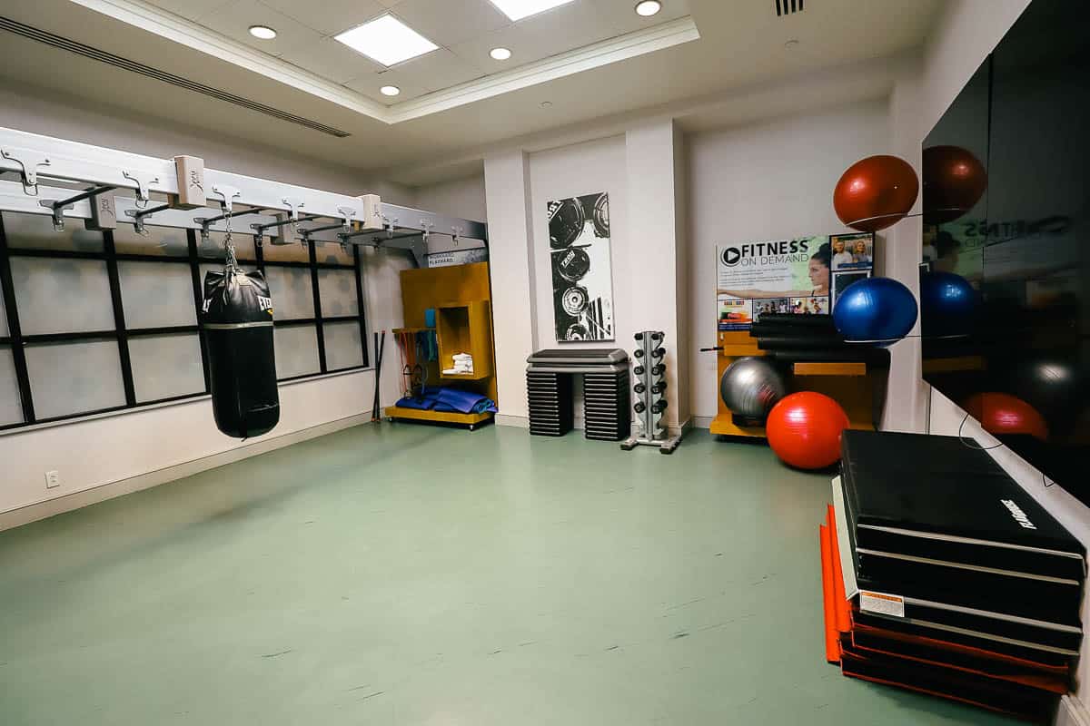 swan yacht club gym