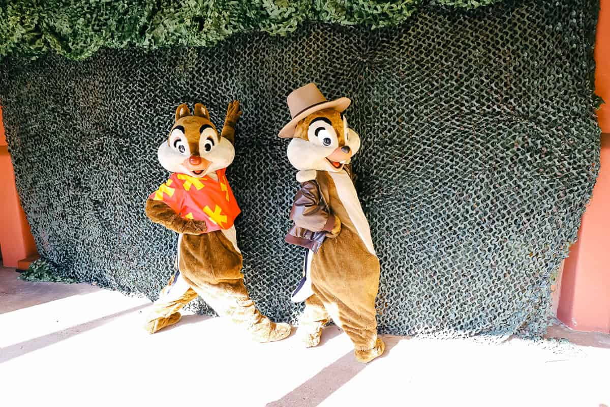 Chip and Dale pose for the camera 