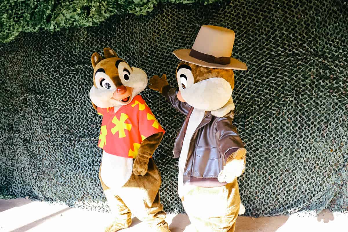 Chip and Dale 