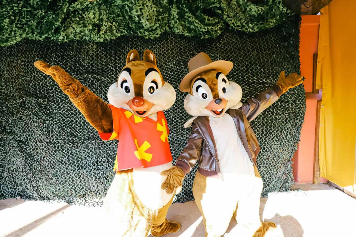 Chip and Dale posing as Rescue Rangers 