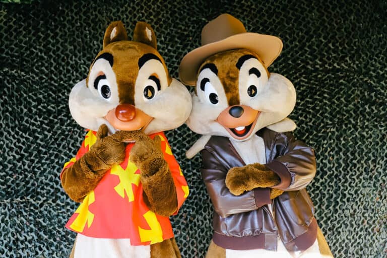Chip and Dale Rescue Rangers Meet and Greet Near Indiana Jones Epic Stunt Spectacular