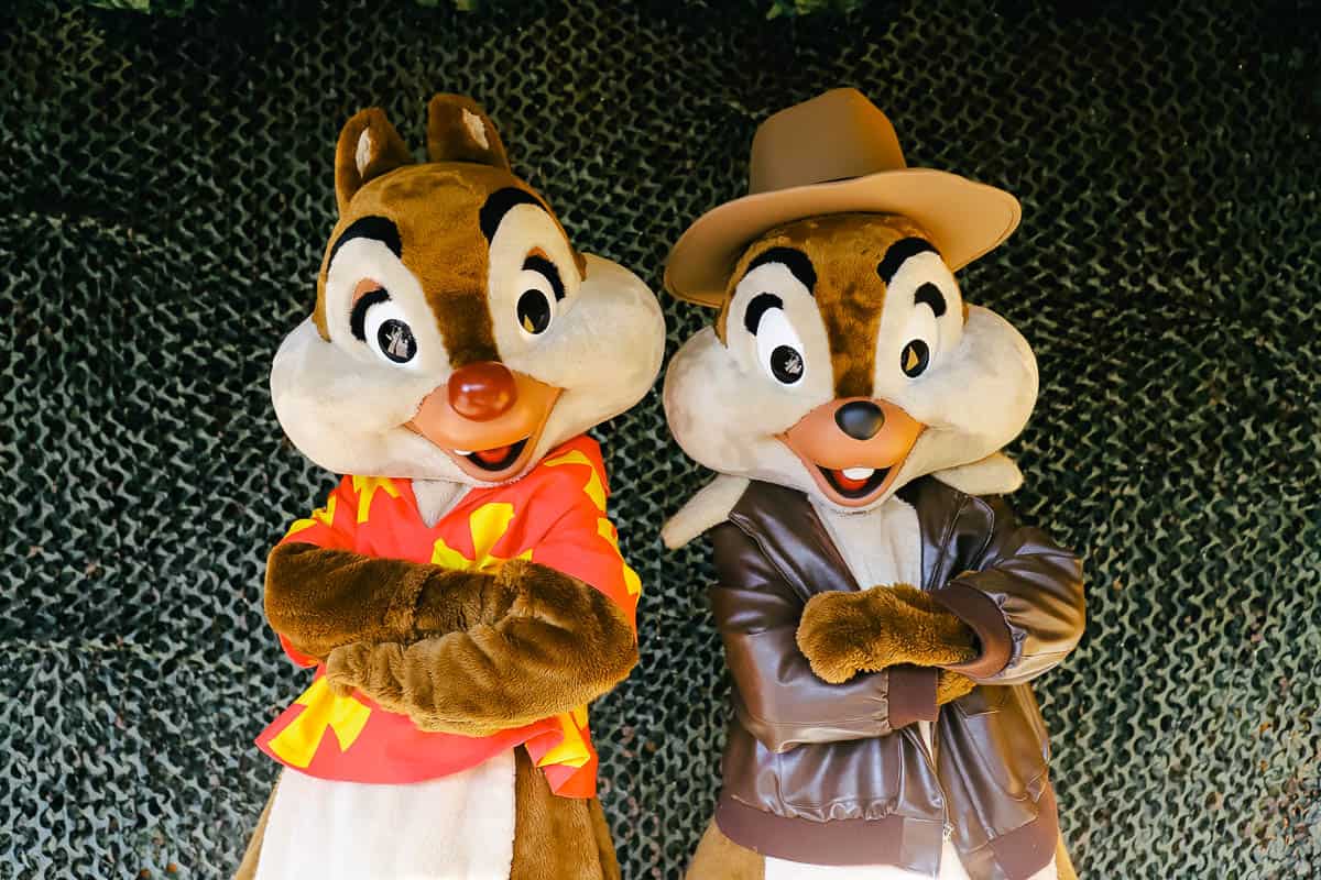Chip and Dale in their Rescue Rangers Costumes 
