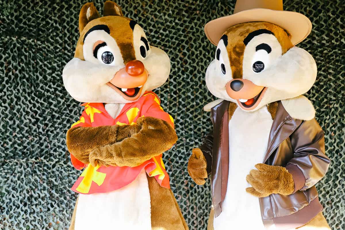 Chip and Dale characters 