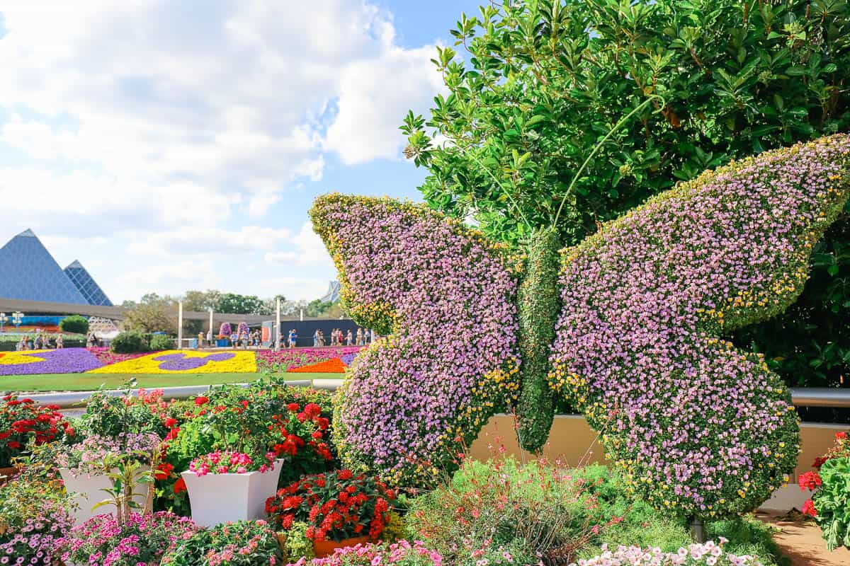 a topiary butterfly at Epcot's Flower and Garden Festival 