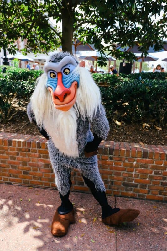 Rafiki poses for a photo at Epcot