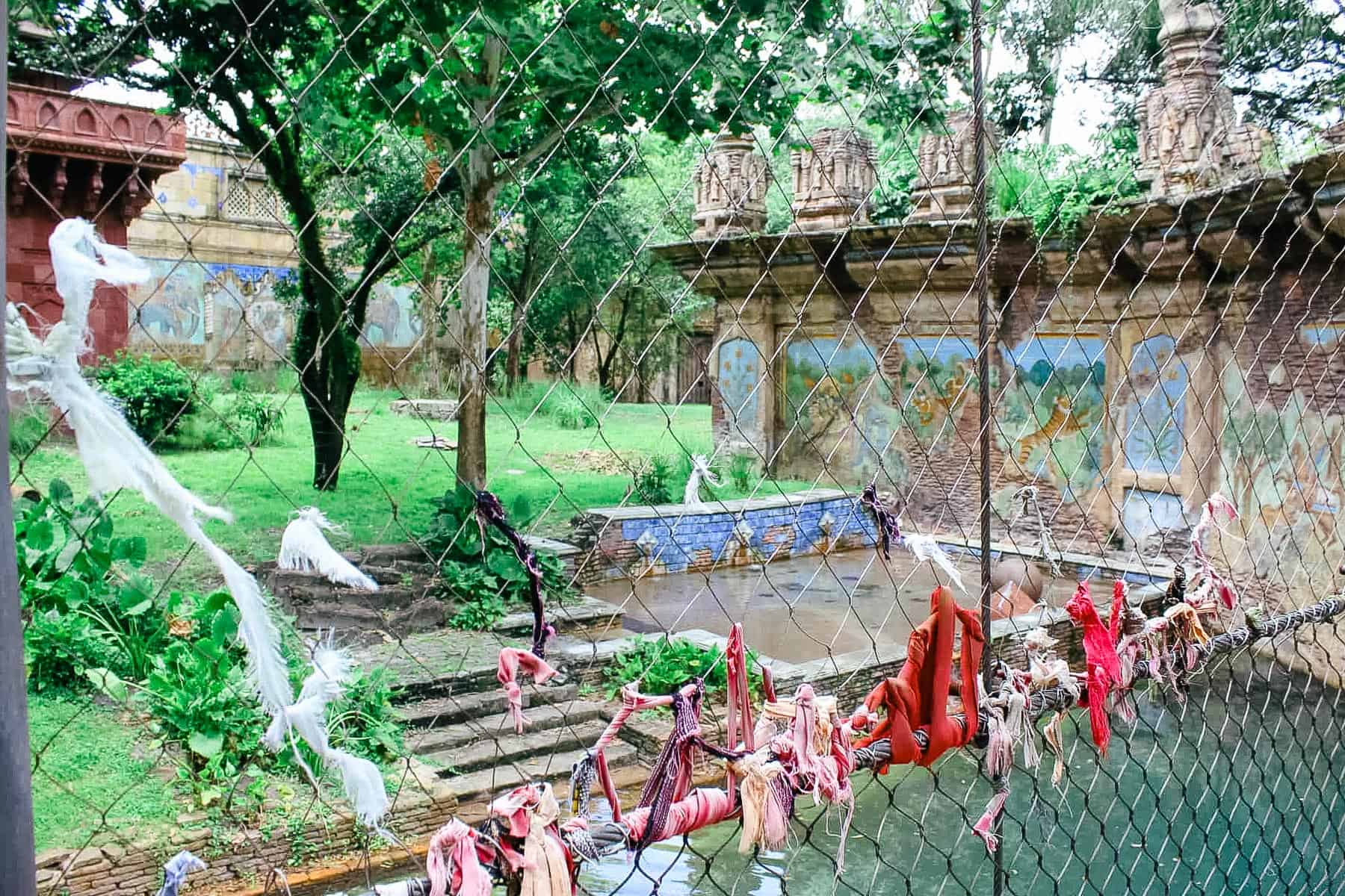 a scenic setting with tiger murals on the Maharajah Jungle Trek 