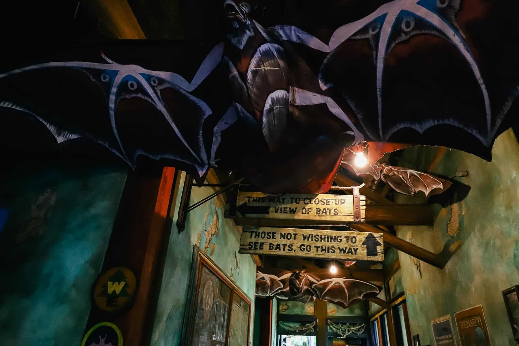 the area where you walk through if you do not wish to see the bats on the Maharajah Jungle Trek 