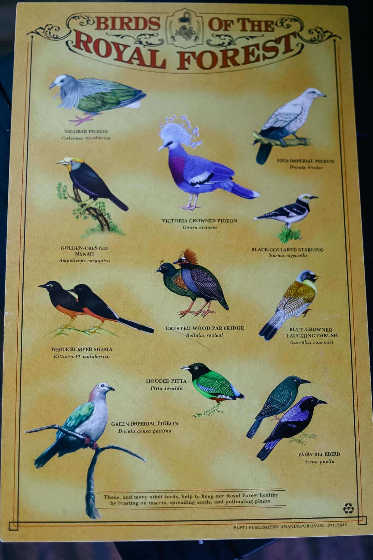 a guide that shows the birds you might find in the aviary of the Maharajah Jungle Trek 