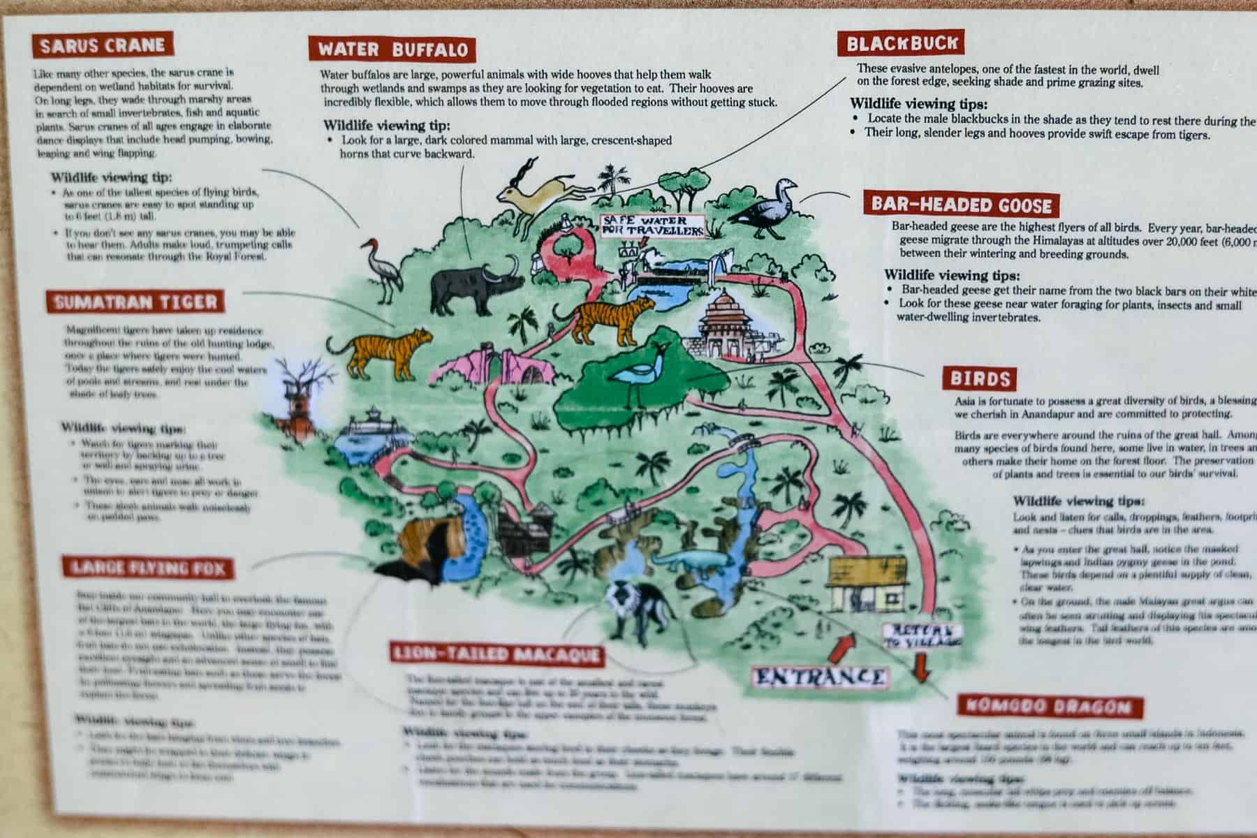 a map that shows the animal habitats on the Maharajah Jungle Trek 