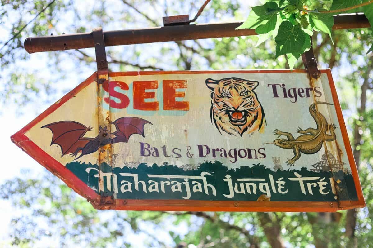 Maharajah Jungle Trek at Disney's Animal Kingdom