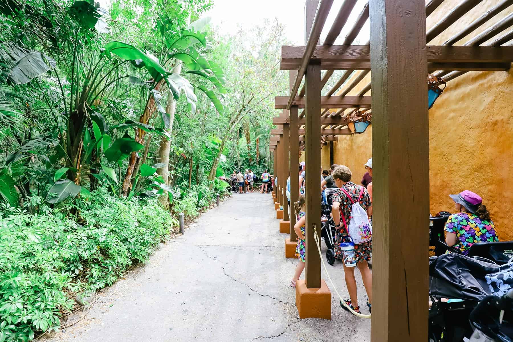 Guests waiting in the queue to meet Moana at Disney's Animal Kingdom