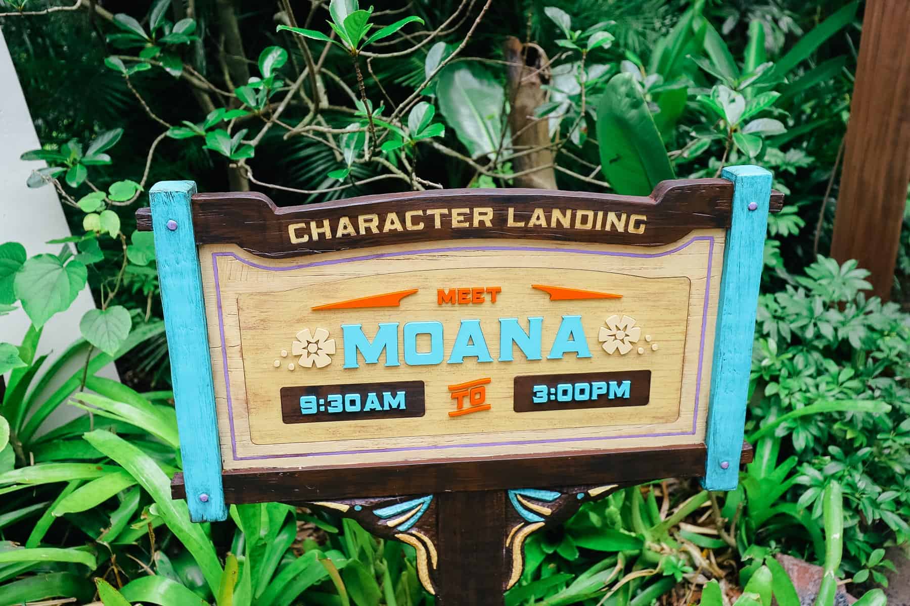 the sign for Moana's meet and greet location with times at Disney's Animal Kingdom