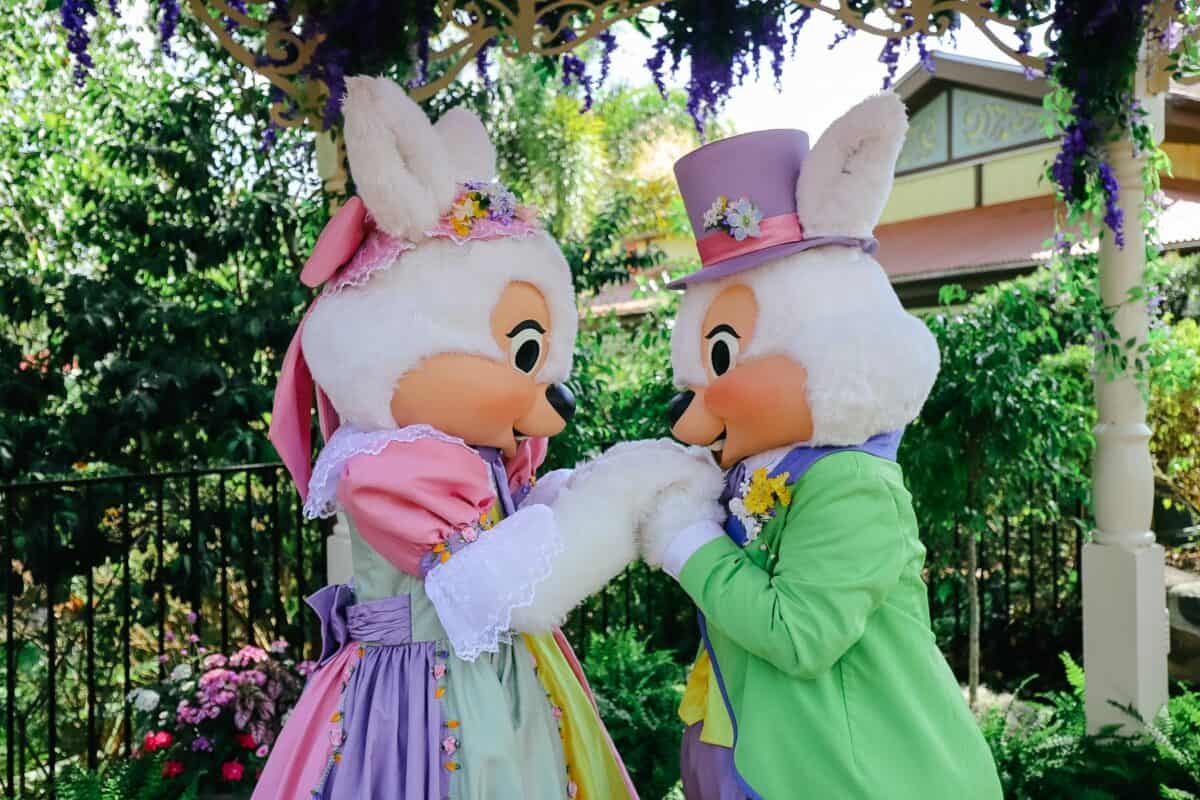 mrandmrseasterbunney 22