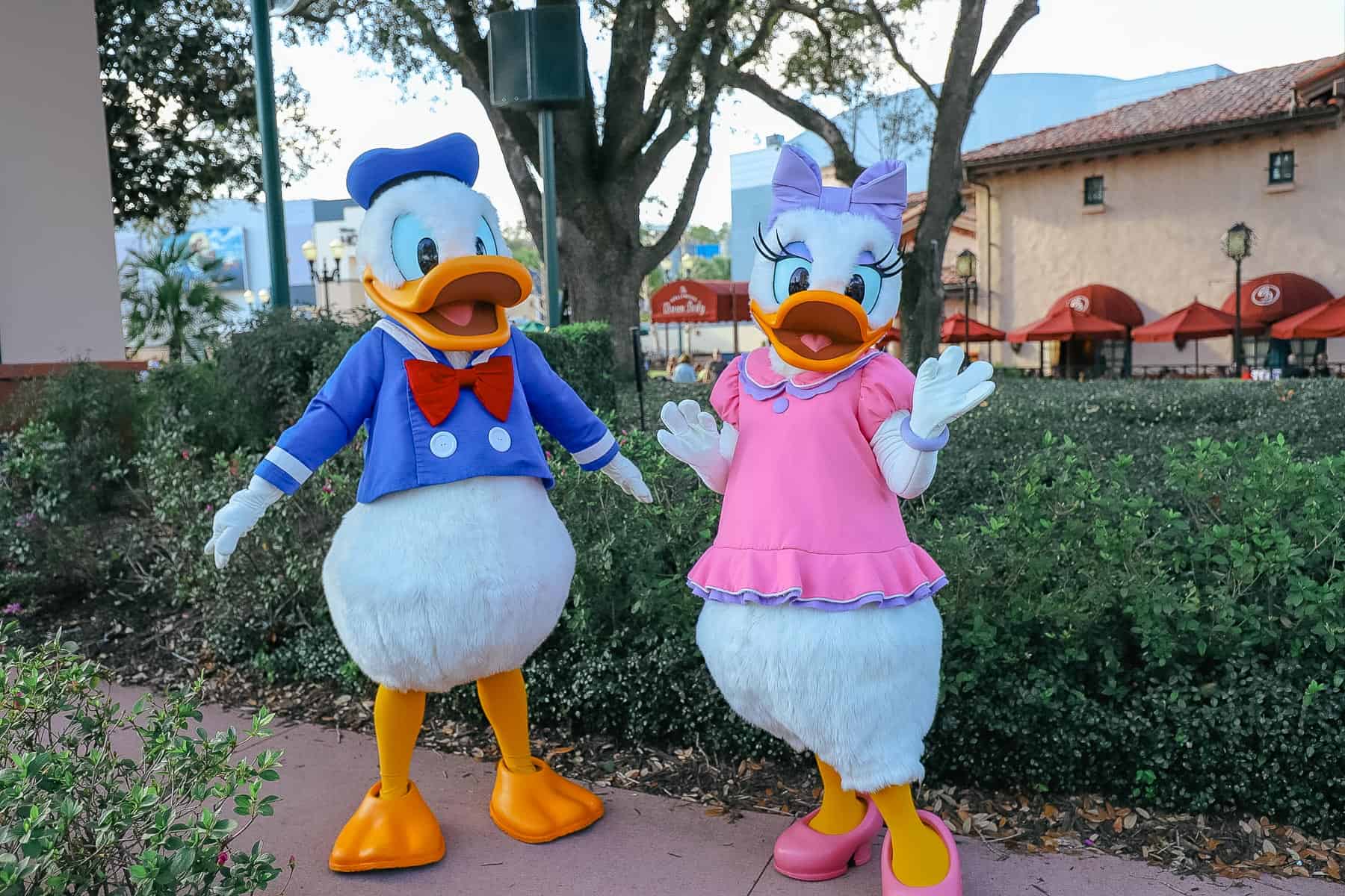 Donald Duck and Daisy Duck 