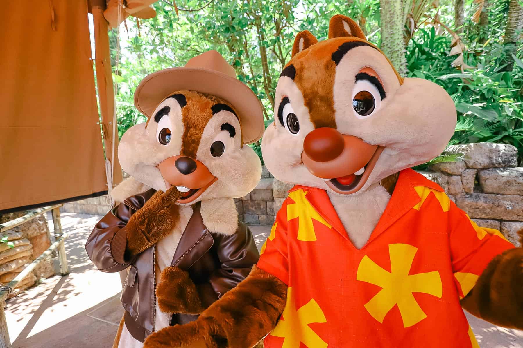 Chip and Dale being bashful 