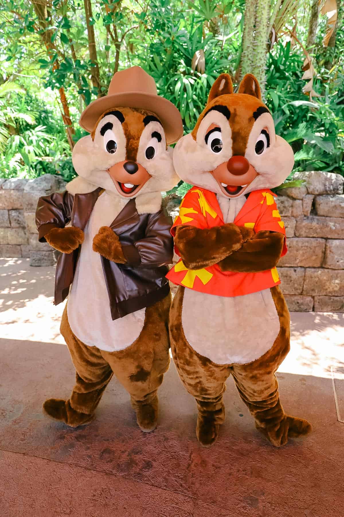Chip and Dale showing off Rescue Rangers outfits 