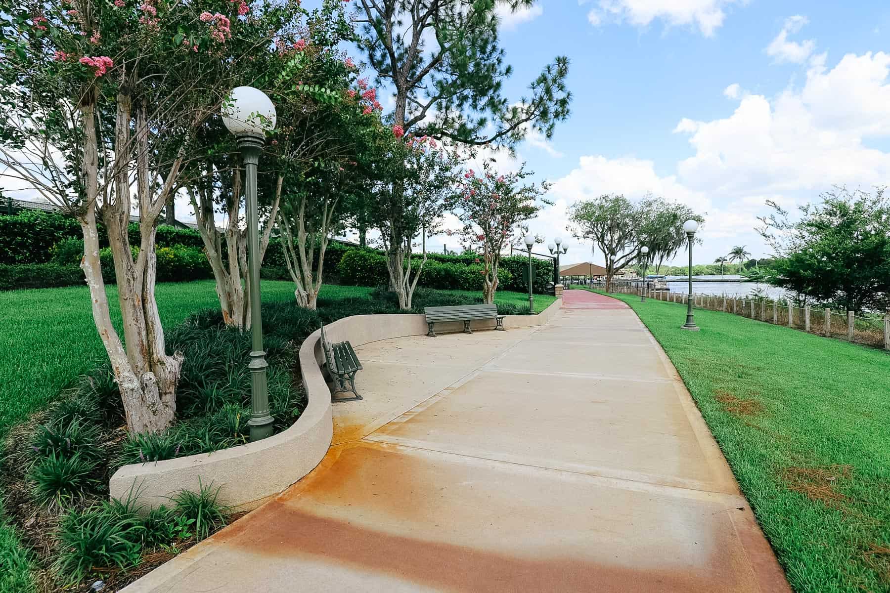 a few benches with Crepe Myrtles and other surroundings 