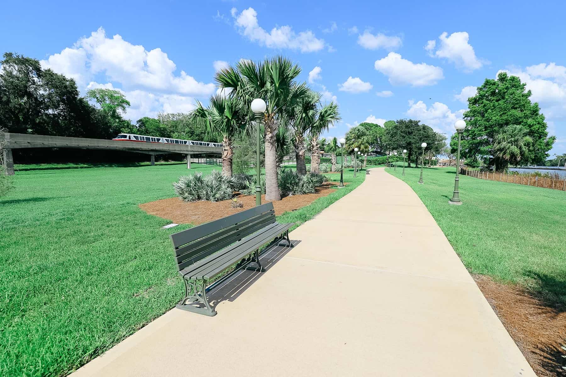 benches to the left of the walkway 