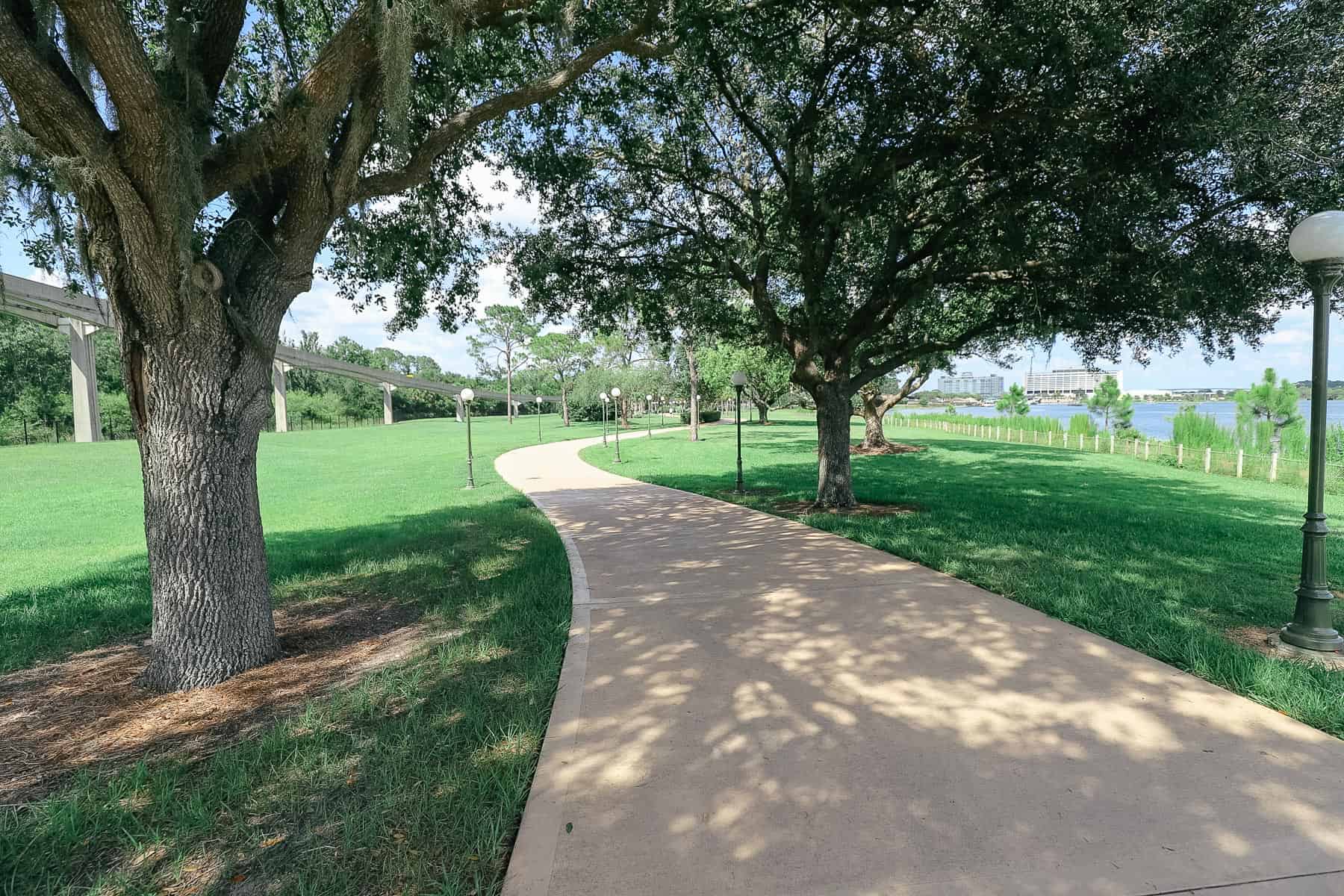 shade trees on both sides of the walkway 