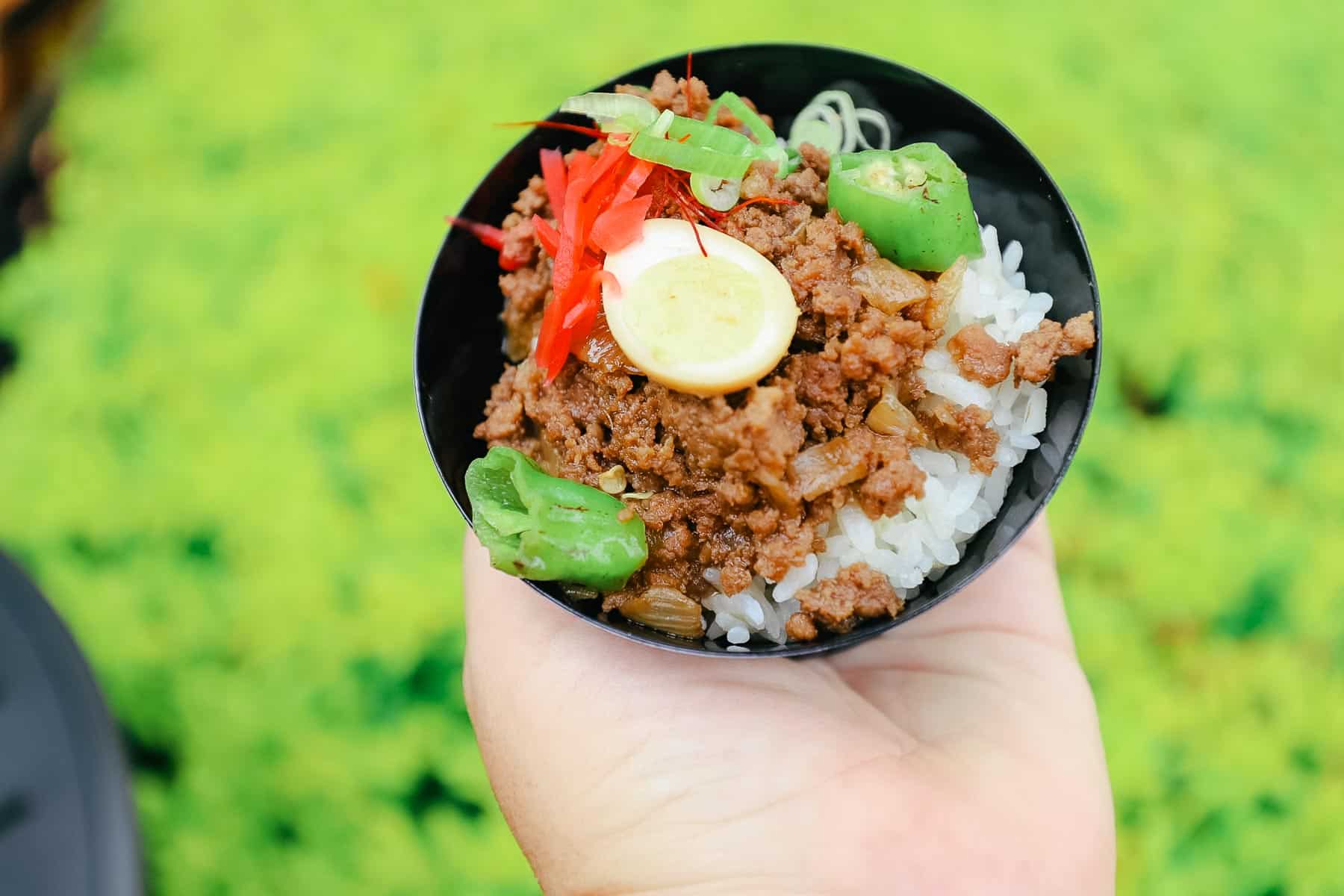 Japan Marketplace Review at Epcot’s Food and Wine Festival