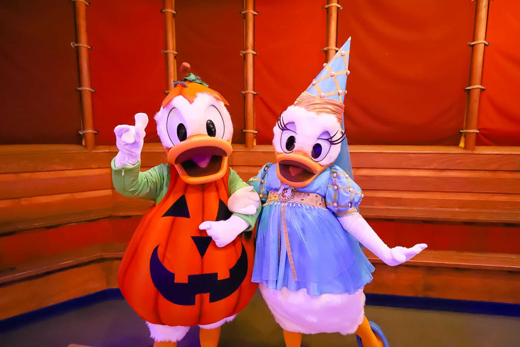 Donald Duck wearing a pumpkin suit and Daisy dressed in a blue gown with gold trim as a princess at Mickey's Not So Scary Halloween Party.