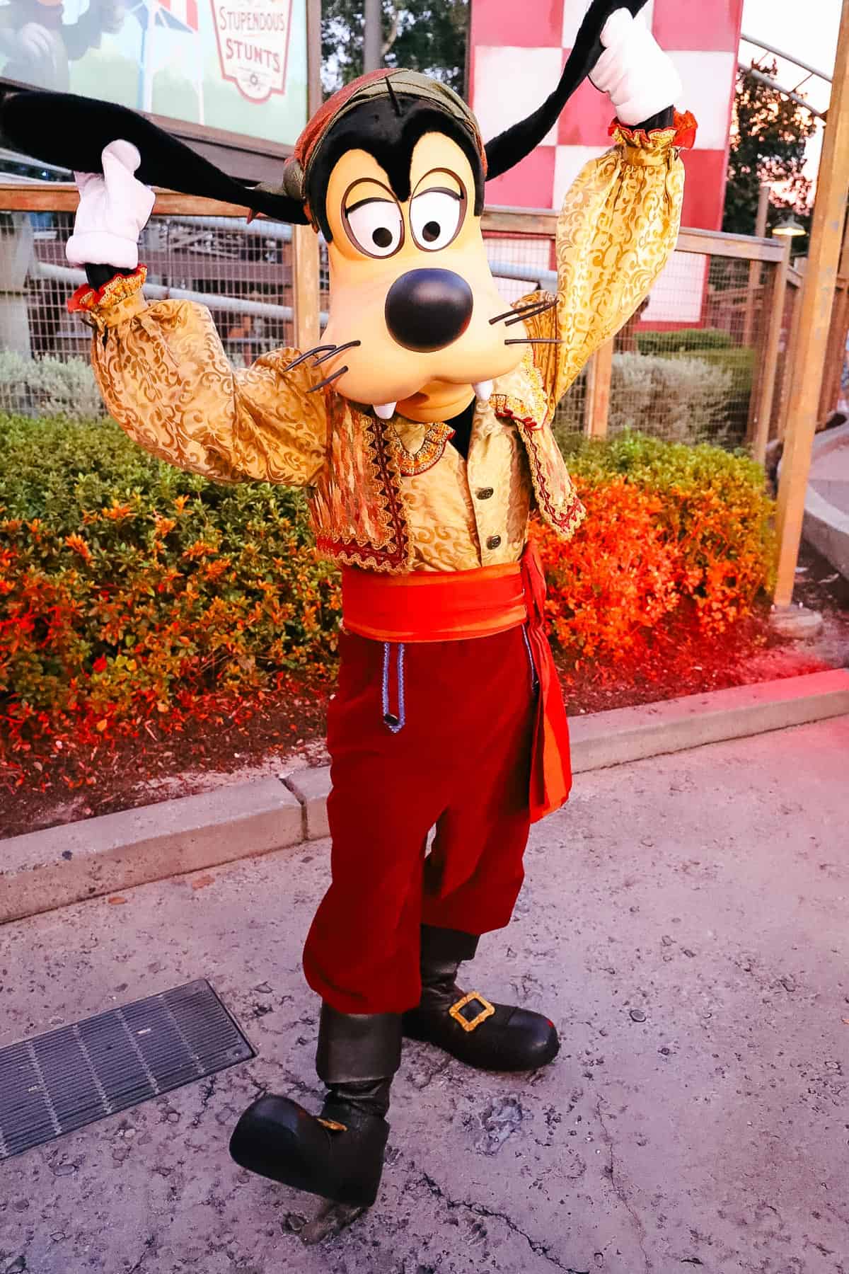 Pirate Goofy