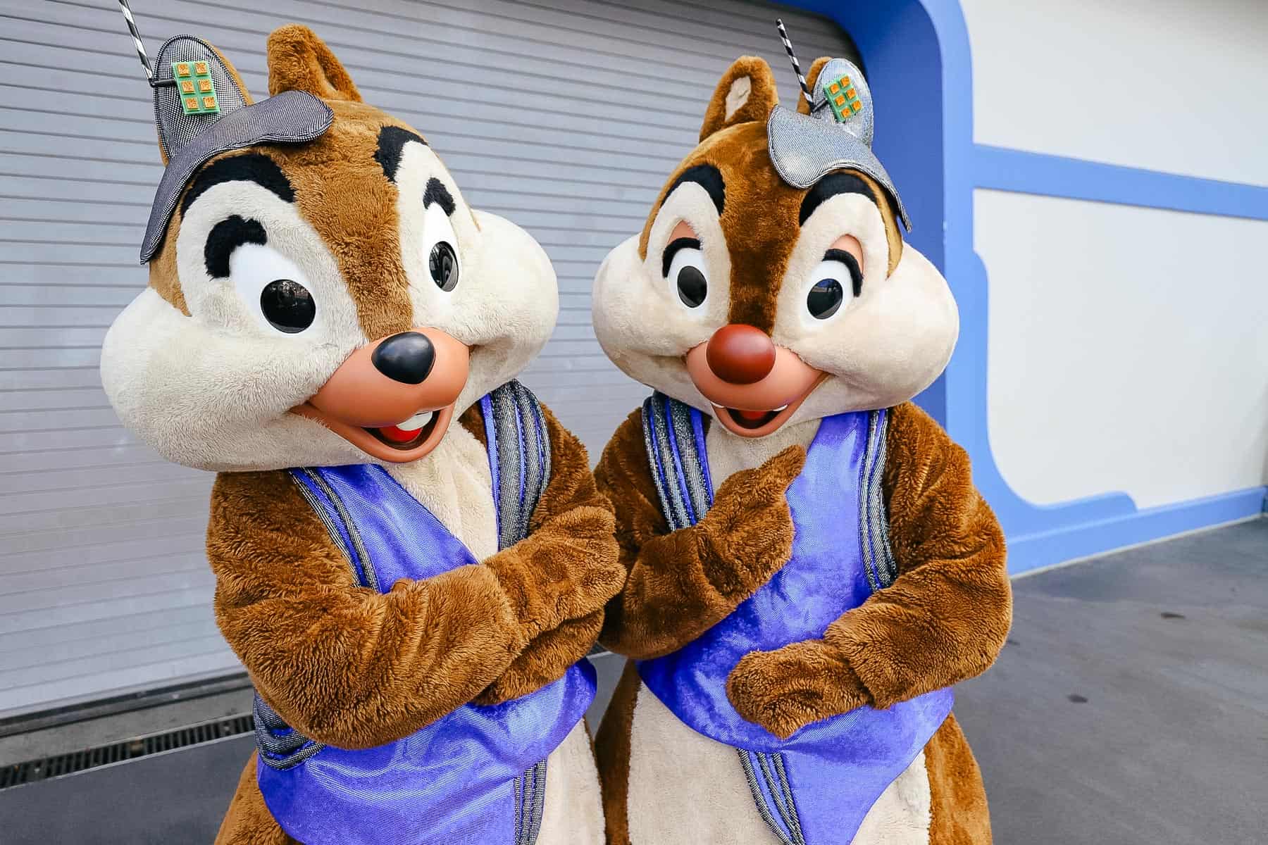 Where to Meet Chip and Dale 