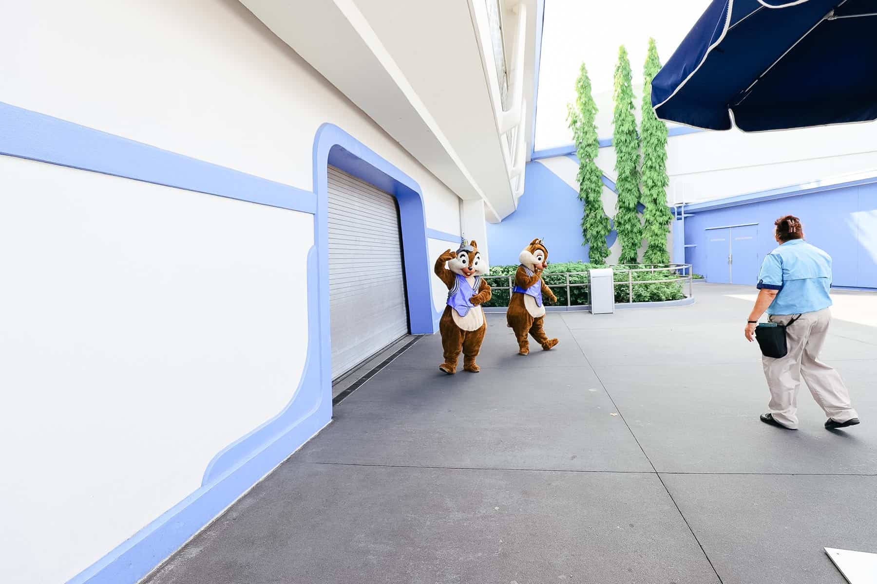 queue for Chip and Dale meet-and-greet 