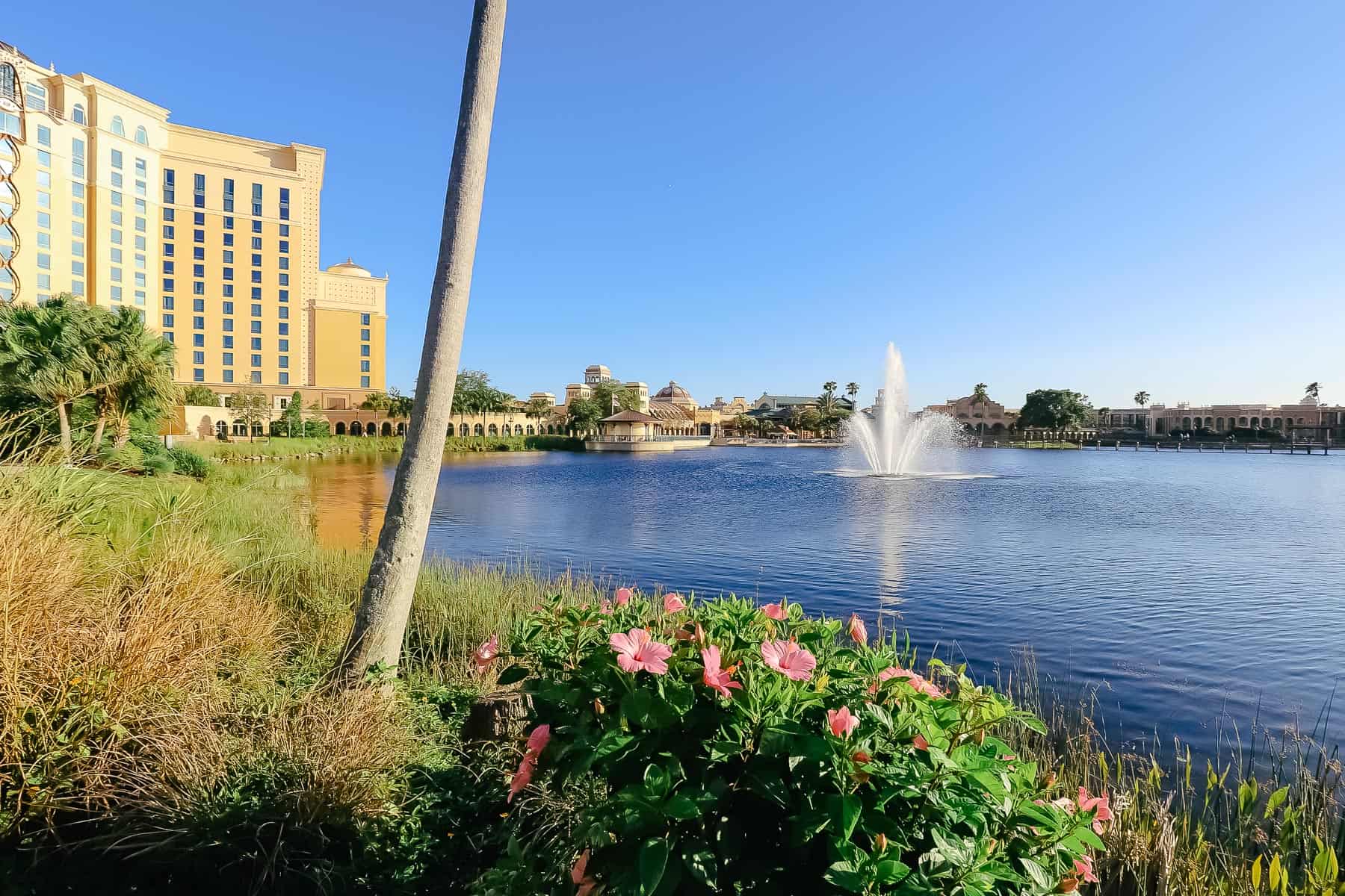 Disney's Coronado Springs Review