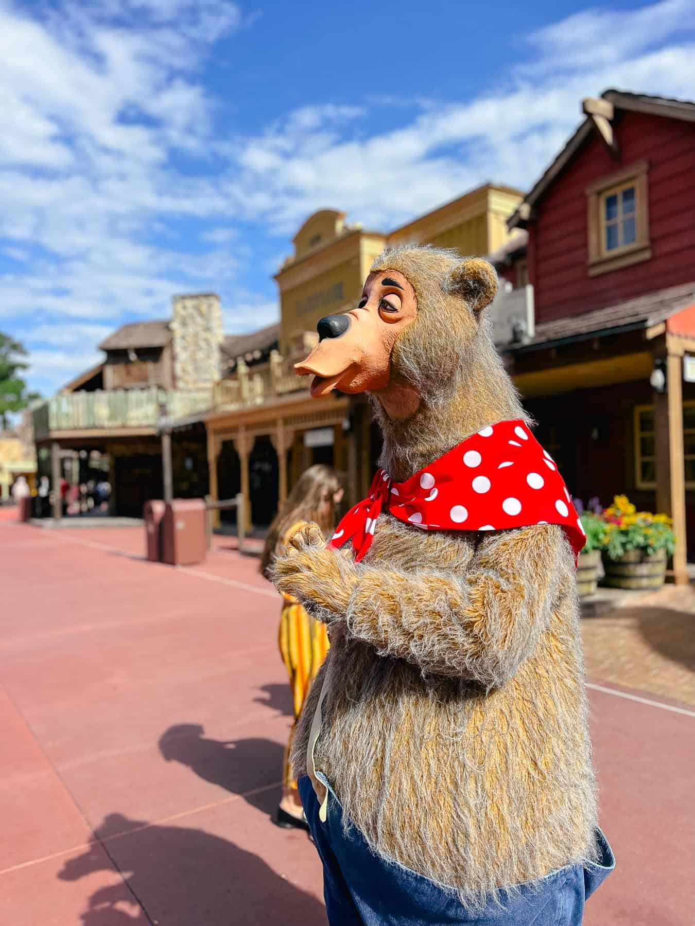 Country Bears at Magic Kingdom 