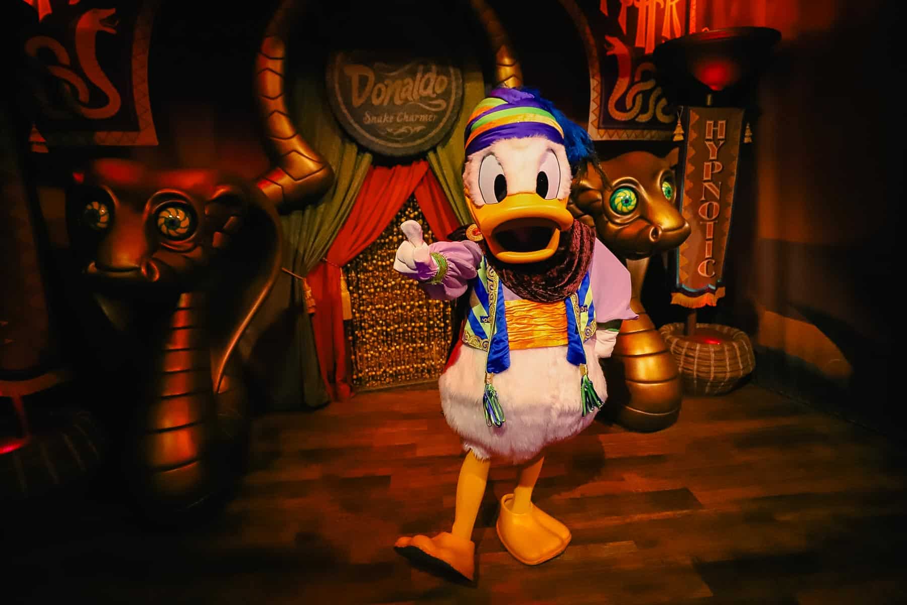 Donald Duck at his Magic Kingdom Meet-and-Greet