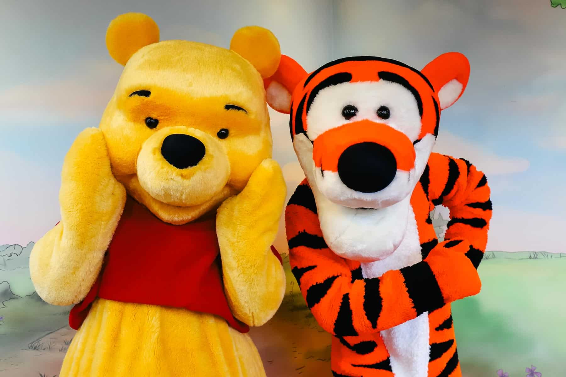 Winnie the Pooh and Tigger at Magic Kingdom 