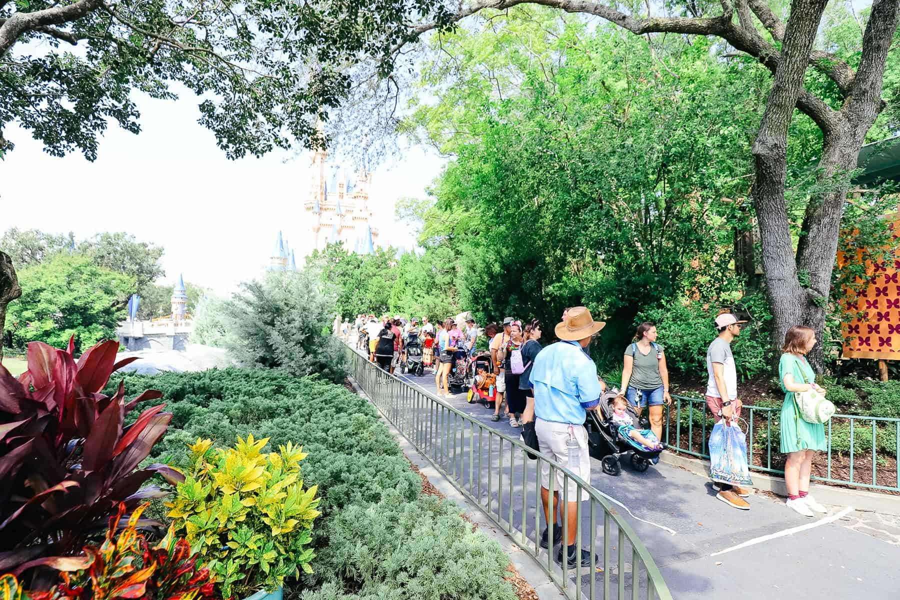 The line to meet Mirabel on the first day of her meet-and-greet. 