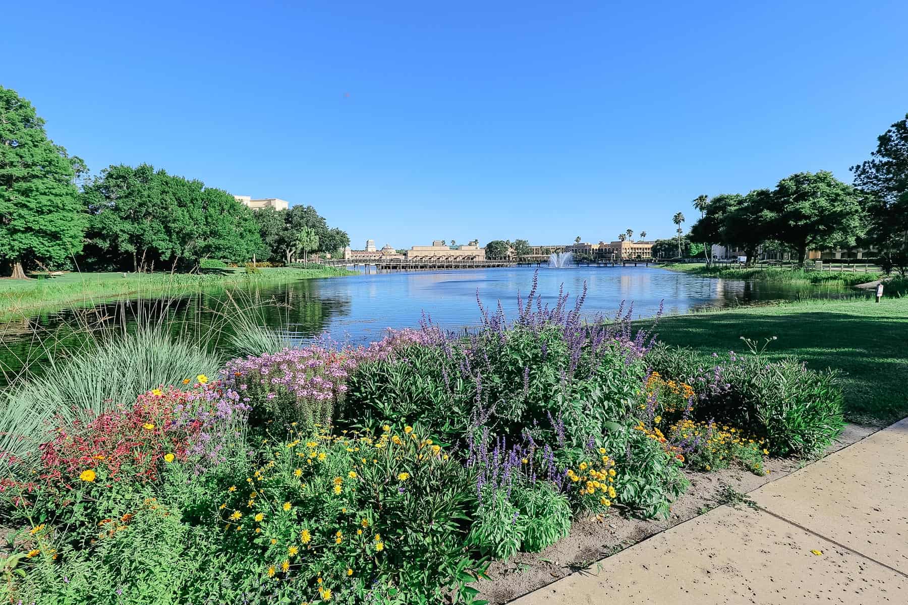 A view of the lake at Disney's Coronado Springs. 