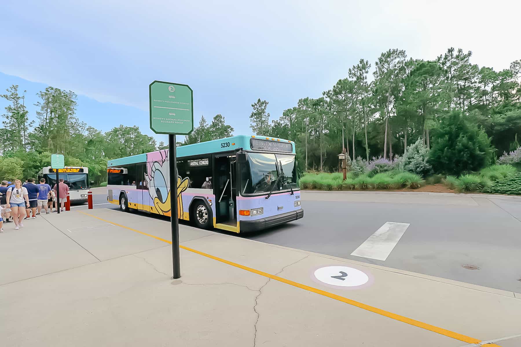 Bus stop for Disney's Animal Kingdom at Wilderness Lodge 