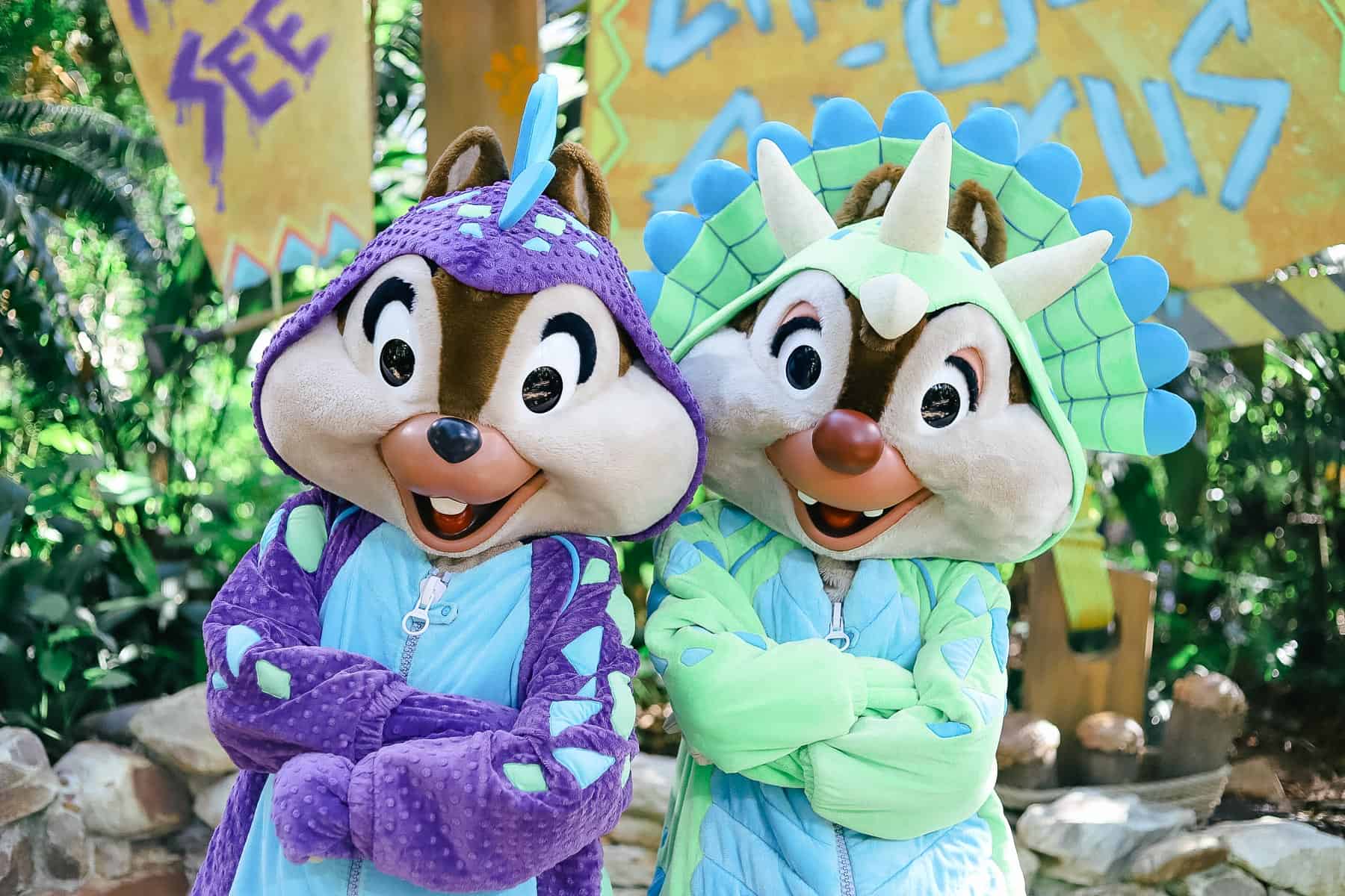 Chip and Dale meet as several characters at Disney World. 