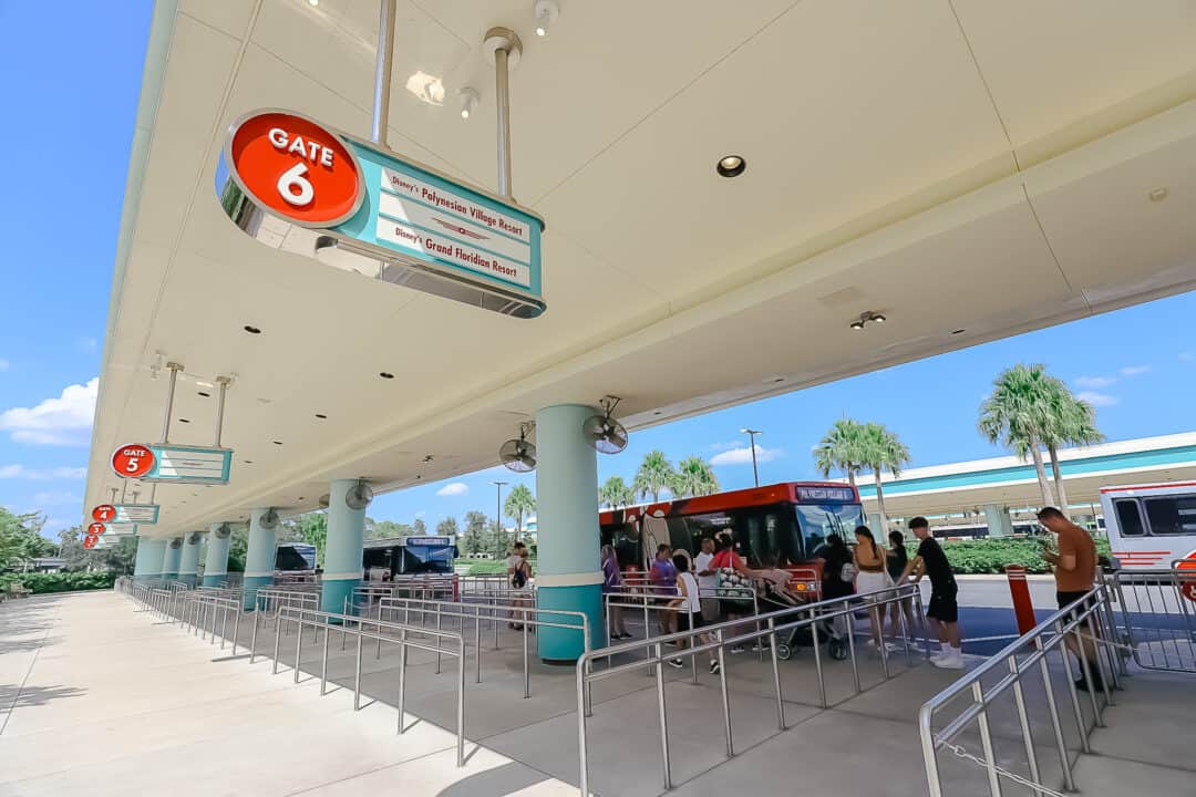 Bus stop at Hollywood Studios for Disney's Polynesian 