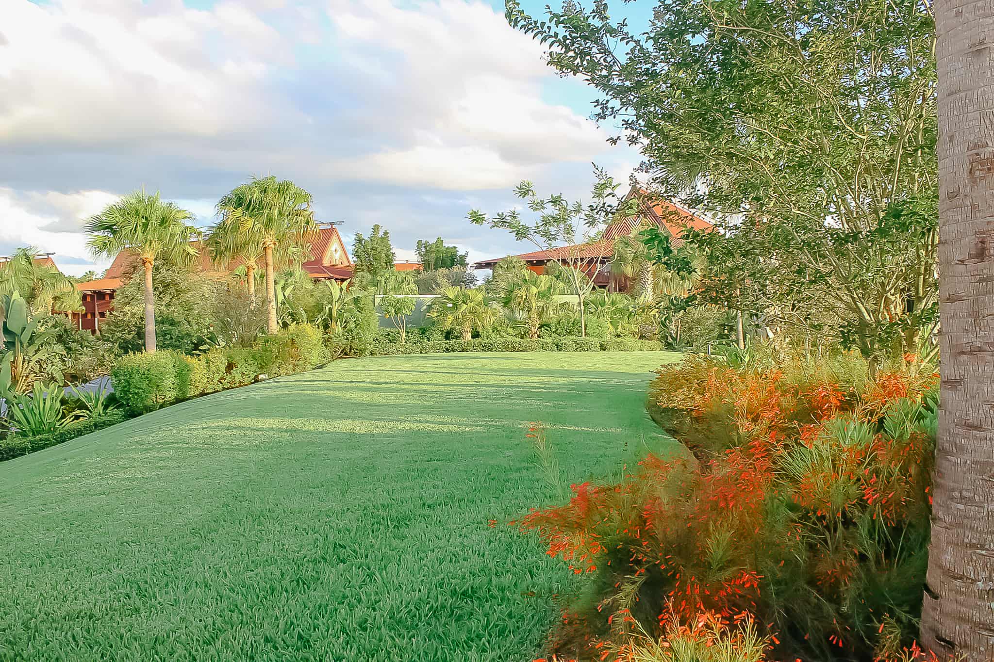 the mound at Disney's Polynesian with green grass and red flowers 