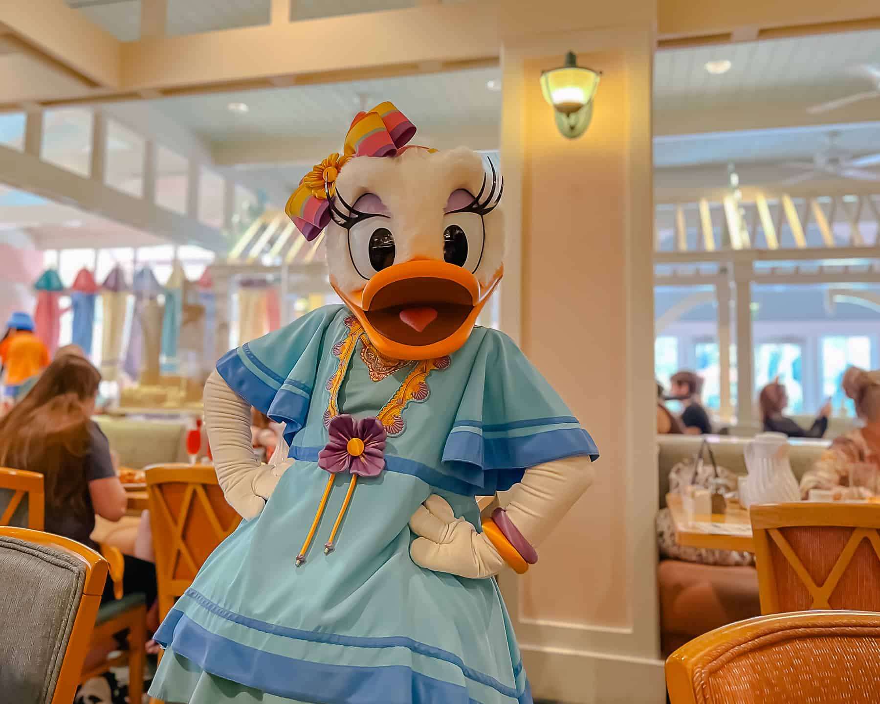 Daisy Duck at character dining in her blue dress at Cape May Cafe 