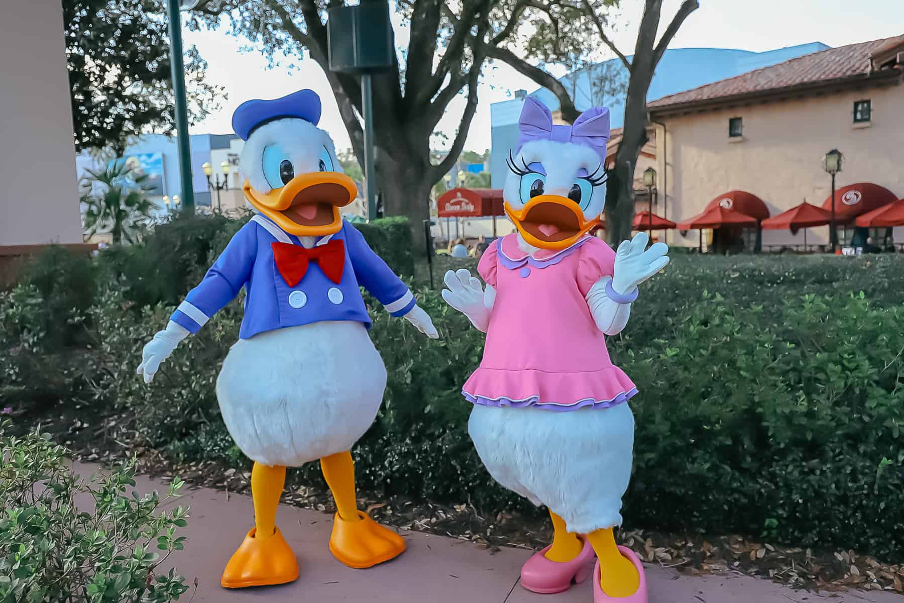 Donald and Daisy Duck in traditional costumes